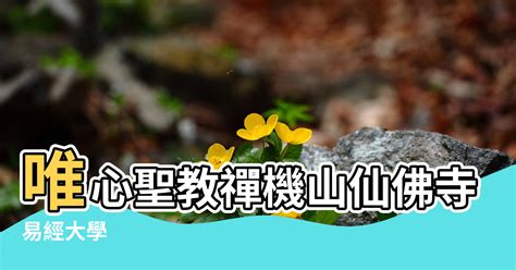 風水大師|風水大師 ::: 易經大學@唯心聖教禪機山仙佛寺